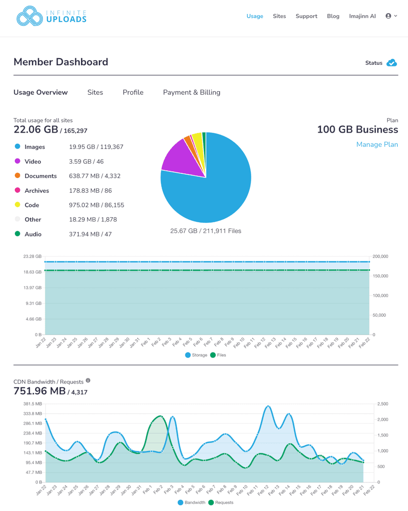 Infinite Uploads SaaS Dashboard